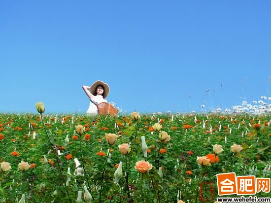 20111018095835491.jpg