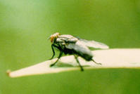 00a82701919900677aec2c35.jpg