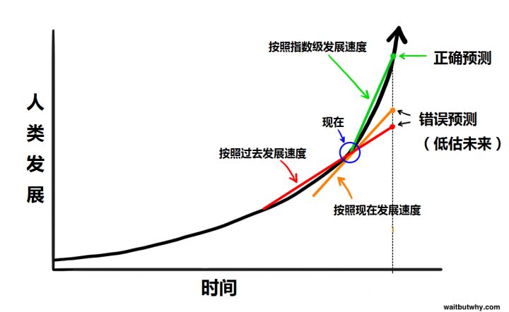 些熊猫君03.jpg