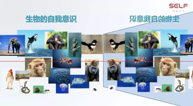 江波01.jpg