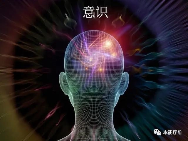 量子人生1.jpg