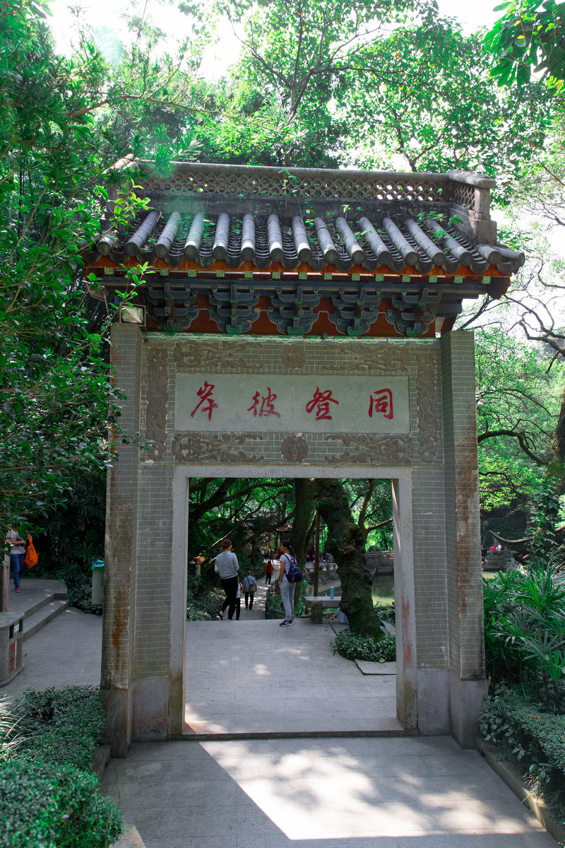 Tdba-02-1.jpg