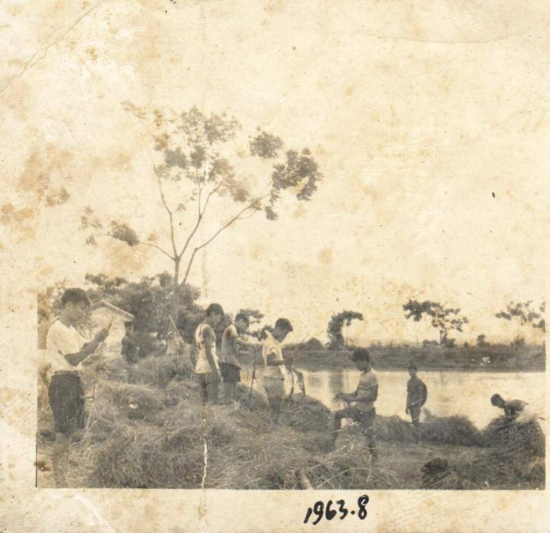 1963花都农忙照片01.jpg