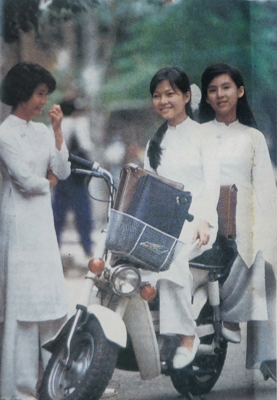 行色匆匆逛越南.jpg